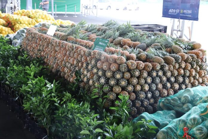 Agência Amazonas