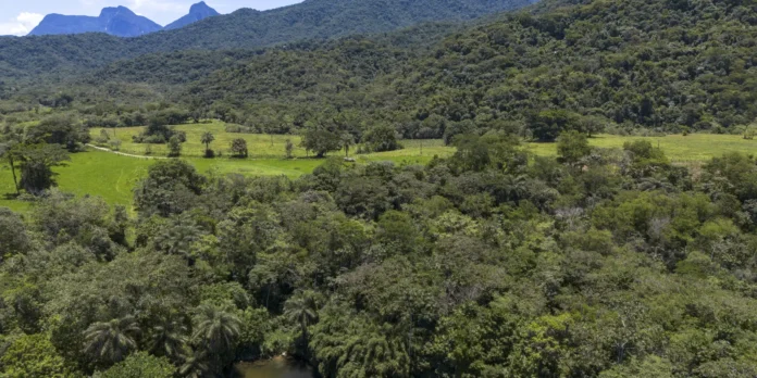 Agência Brasil / EBC